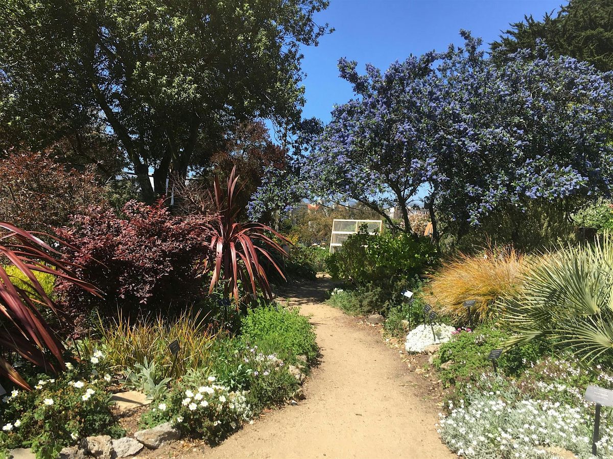Growing a Garden: Where to Start Workshops 2025 | Event in San Francisco | AllEvents