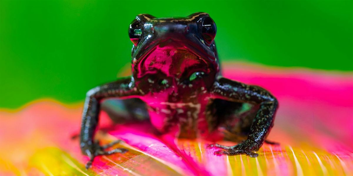 Macro Photography Workshop with Lee Hoy, 22 June | Event in Round Rock | AllEvents