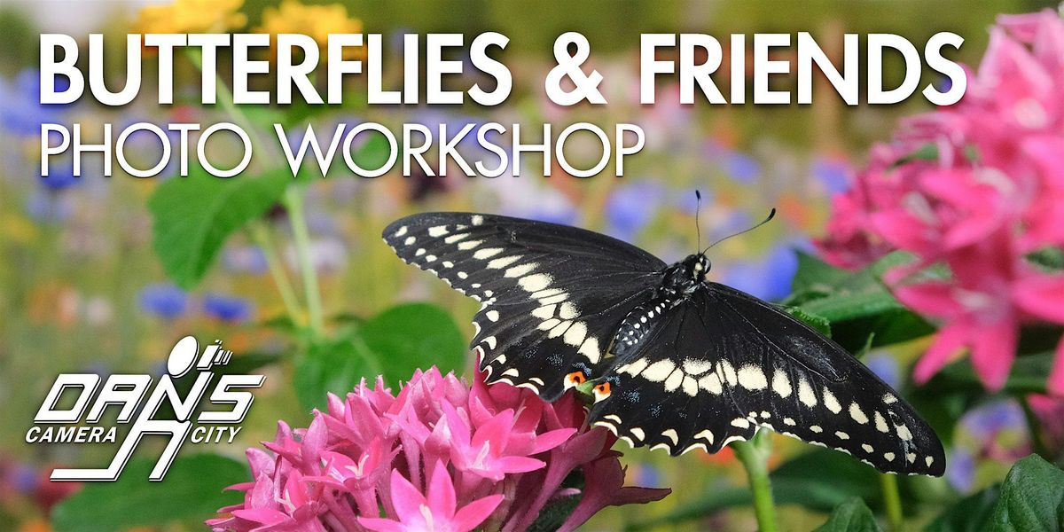Butterfly Photography Workshop - afternoon  session, 19 July | Event in Allentown | AllEvents