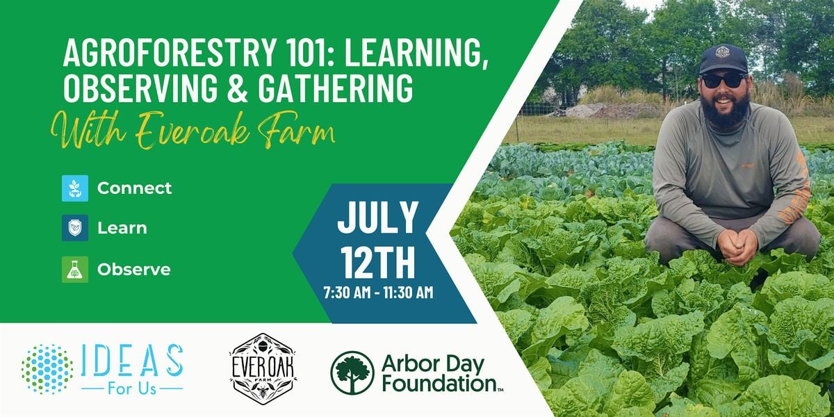Agroforestry 101: Learning, Observing & Gathering, 12 July | Event in Orlando | AllEvents