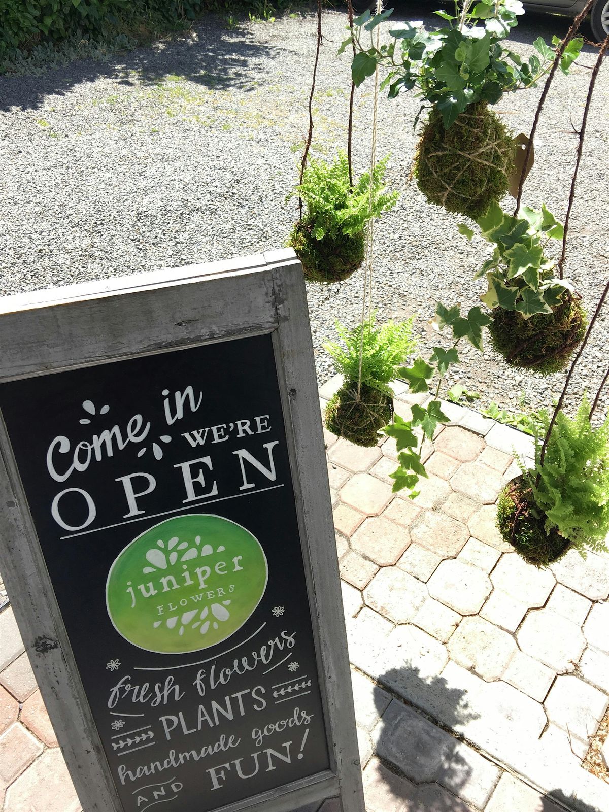 Kokedama Workshop, 20 August | Event in Seattle | AllEvents