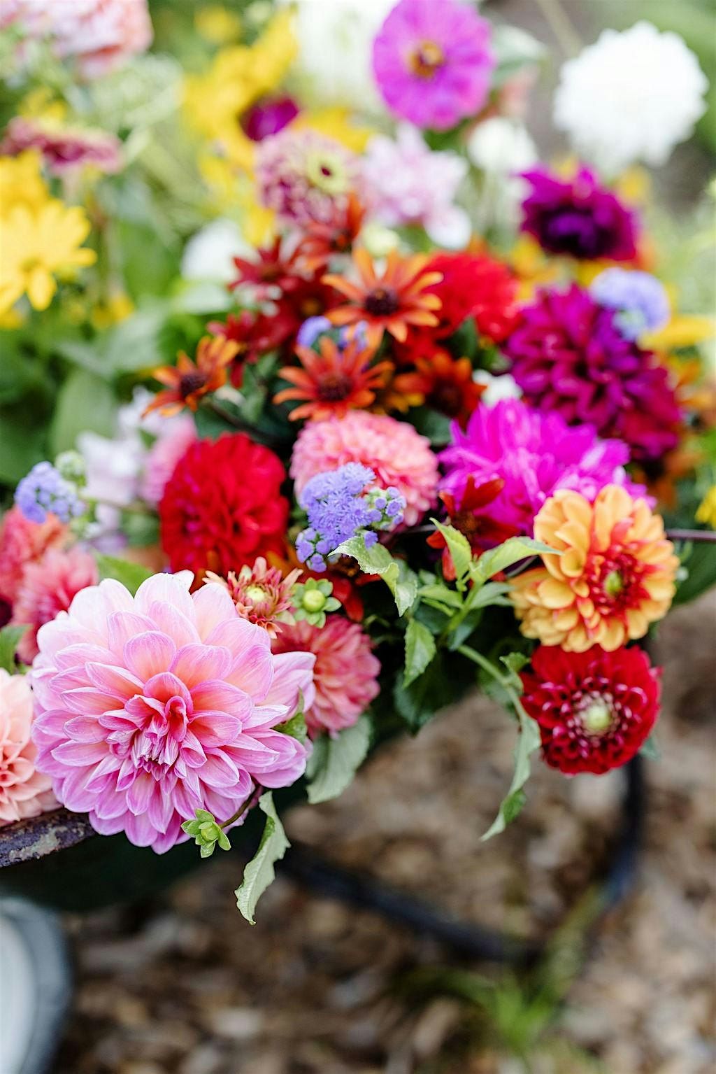 Perfume-Making+ U-Pick Flower Arranging Workshop  on 10/2/2025, 2 October | Event in Cincinnati | AllEvents