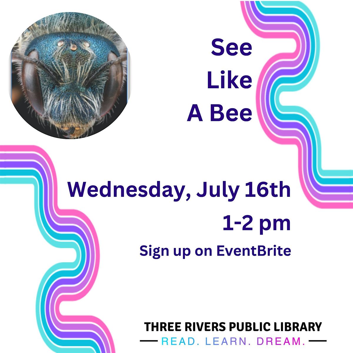 See Like a Bee STEM Activity, 16 July | Event in Three Rivers | AllEvents