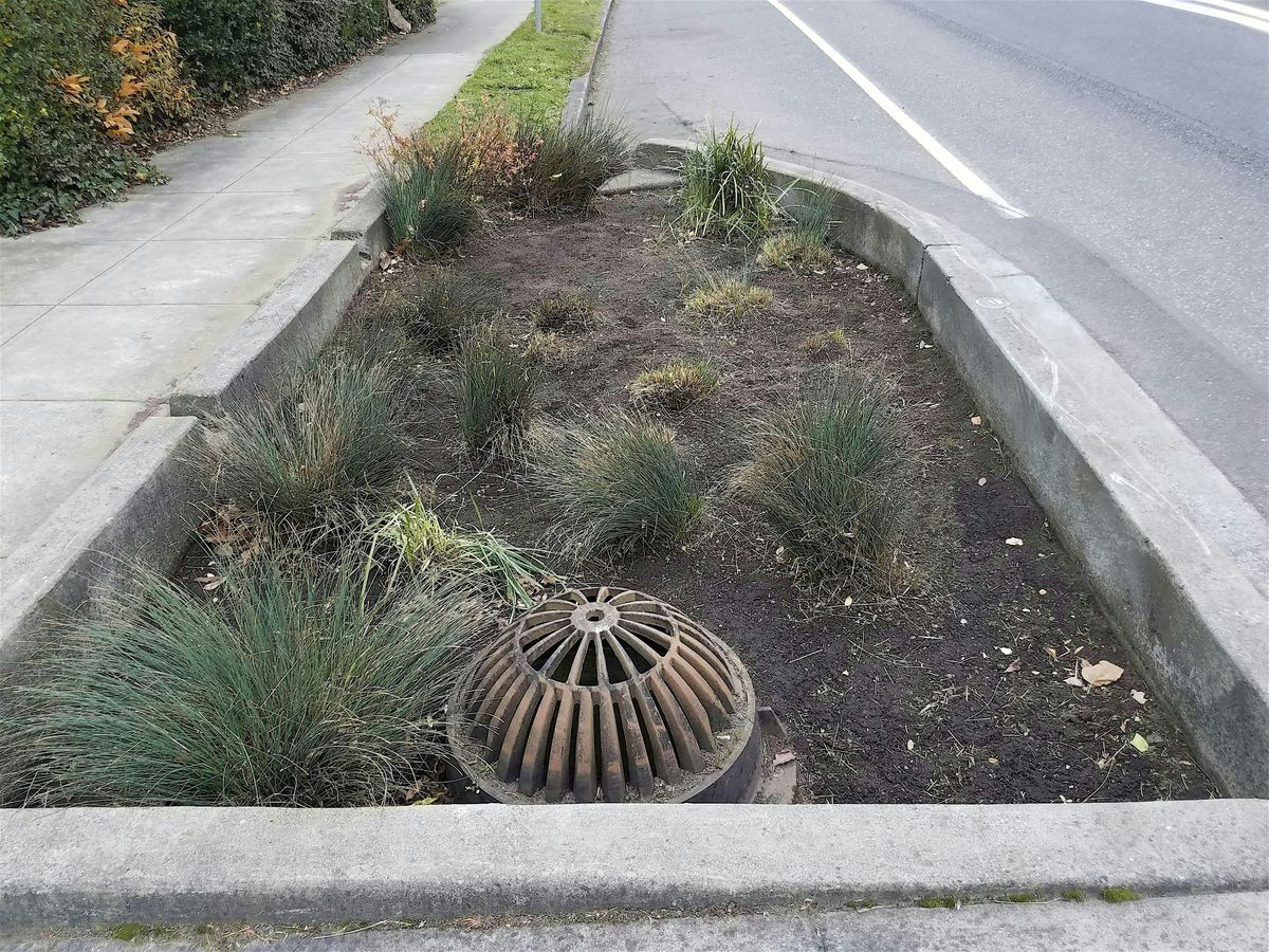 Intro to Stormwater: Solutions for Healthy Waterways, 2 October | Event in Portland | AllEvents