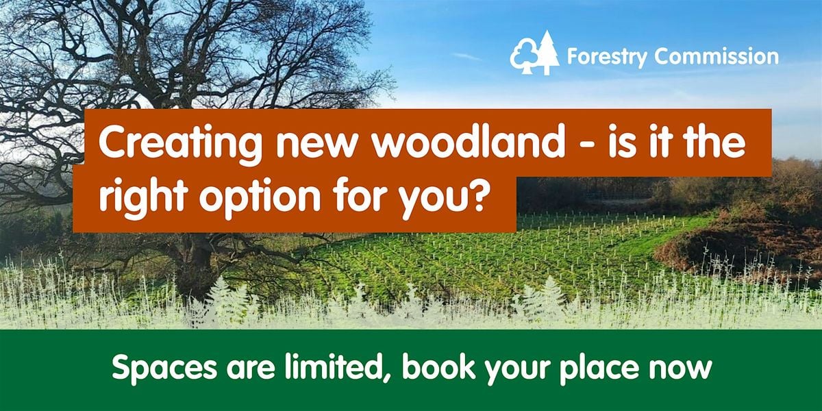 Creating new woodland - is it the right option for you?, 24 September | Event in Rugeley | AllEvents