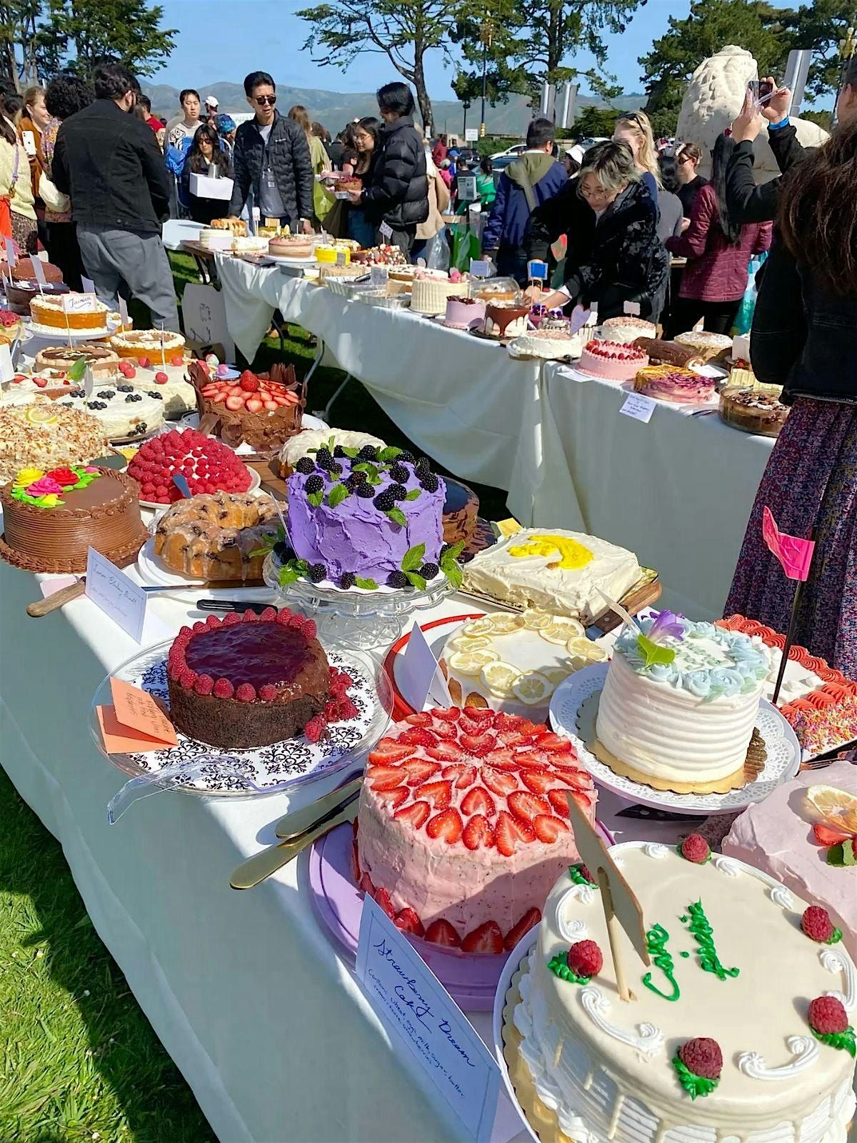 Chico Cake picnic, 18 October | Event in Chico | AllEvents