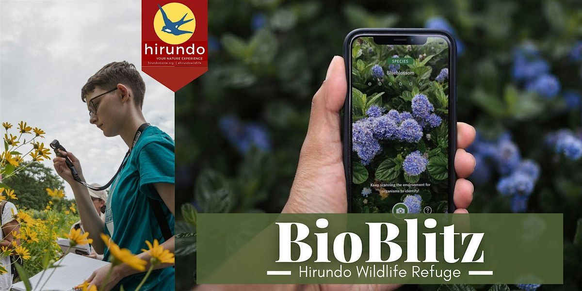 July BioBlitz, 5 July | Event in Old Town | AllEvents