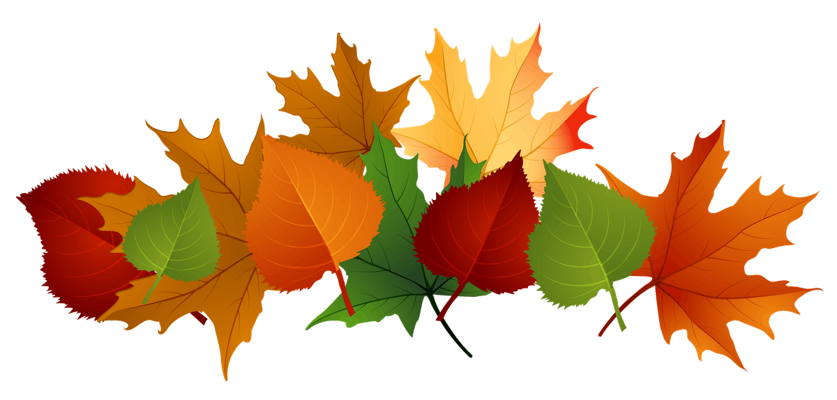 Fall Story Time and Craft, 22 November | Event in Detroit | AllEvents