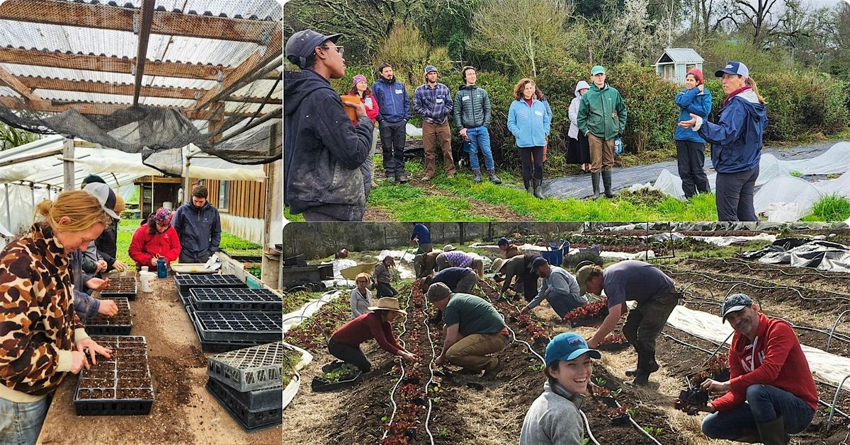 Seasonal Home Farmer Workshop Series | Event in Sebastopol | AllEvents