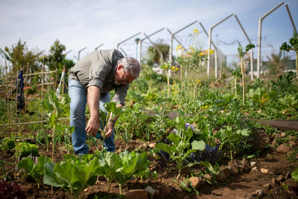 Sustainable Agriculture Tour at 13 Hens Vegetable Farm, 19 August | Event in Enumclaw | AllEvents