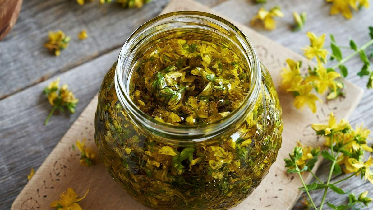 A Chat with Rita Hogan, author of "The Herbal Dog", 15 June | Event in Washington | AllEvents