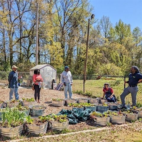 2025 Garden Like A Boss Series - Grow Your Own Fall Seedlings - Class 6, 19 July | Event in East Point | AllEvents