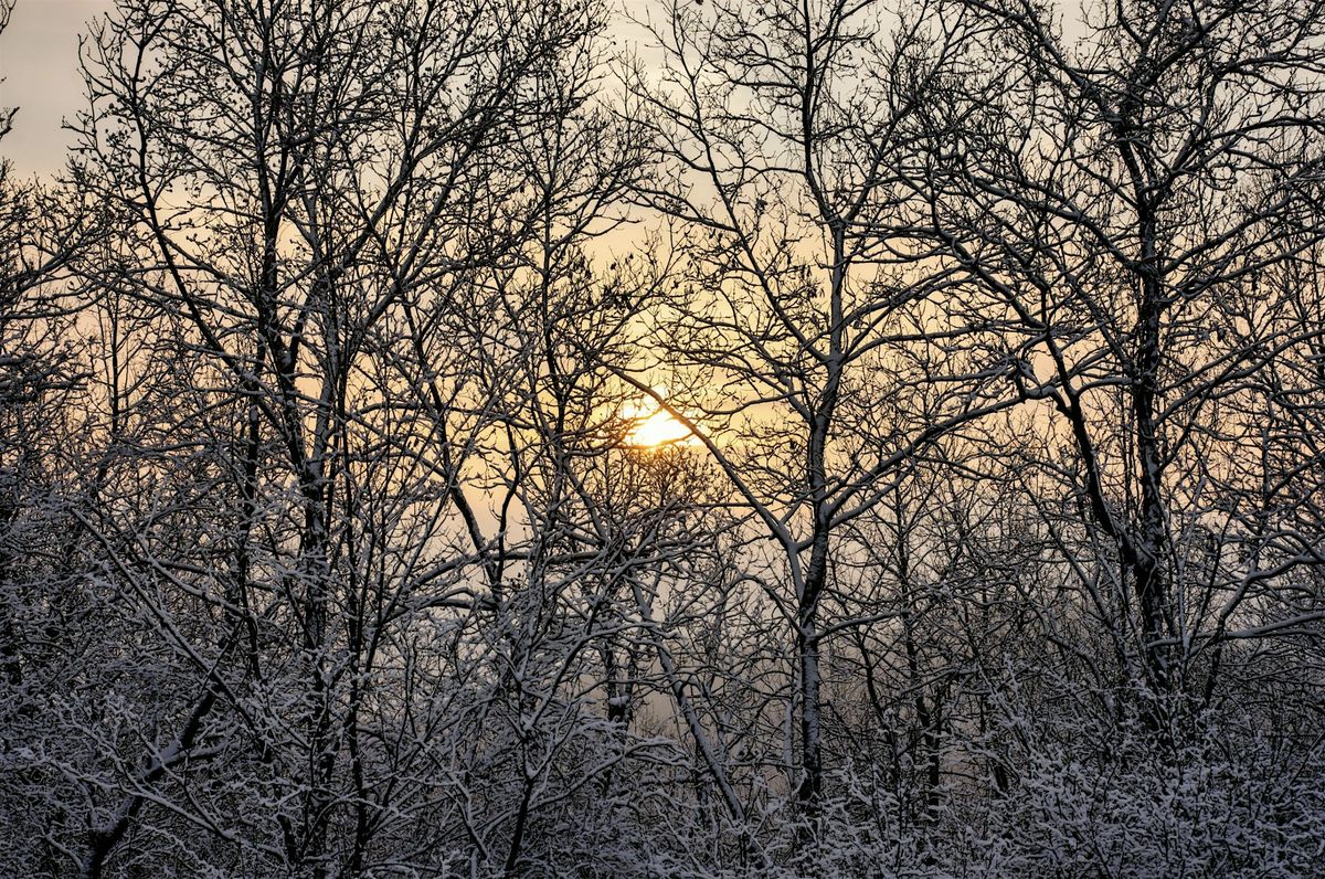 Winter depth writing workshop - Hebden Bridge,, 14 December | Event in Hebden Bridge | AllEvents