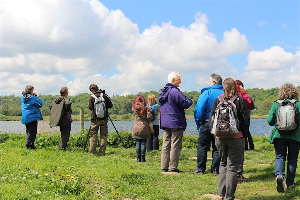 Introduction to Winter Bird Watching at Brockholes, 10 December | Event in Blackburn | AllEvents