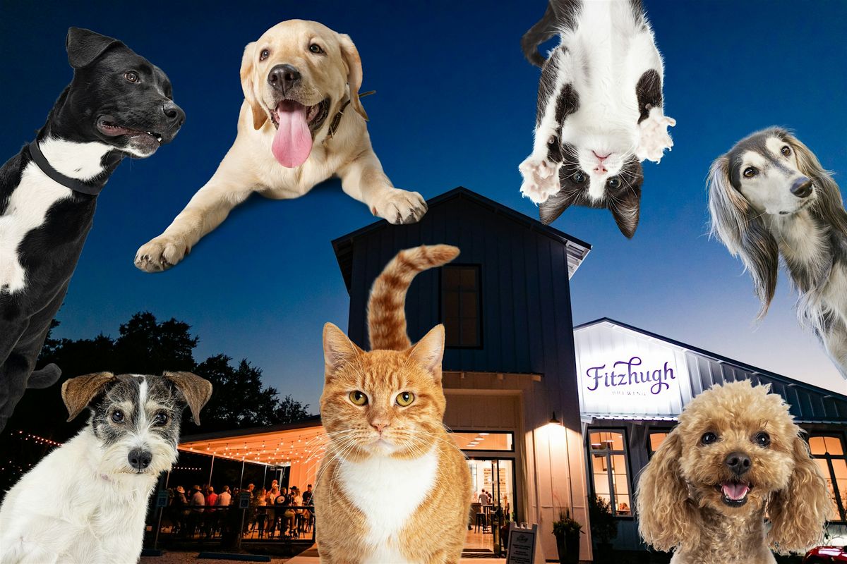 Paint your Pet— Paint and Sip Night!, 28 August | Event in Dripping Springs | AllEvents