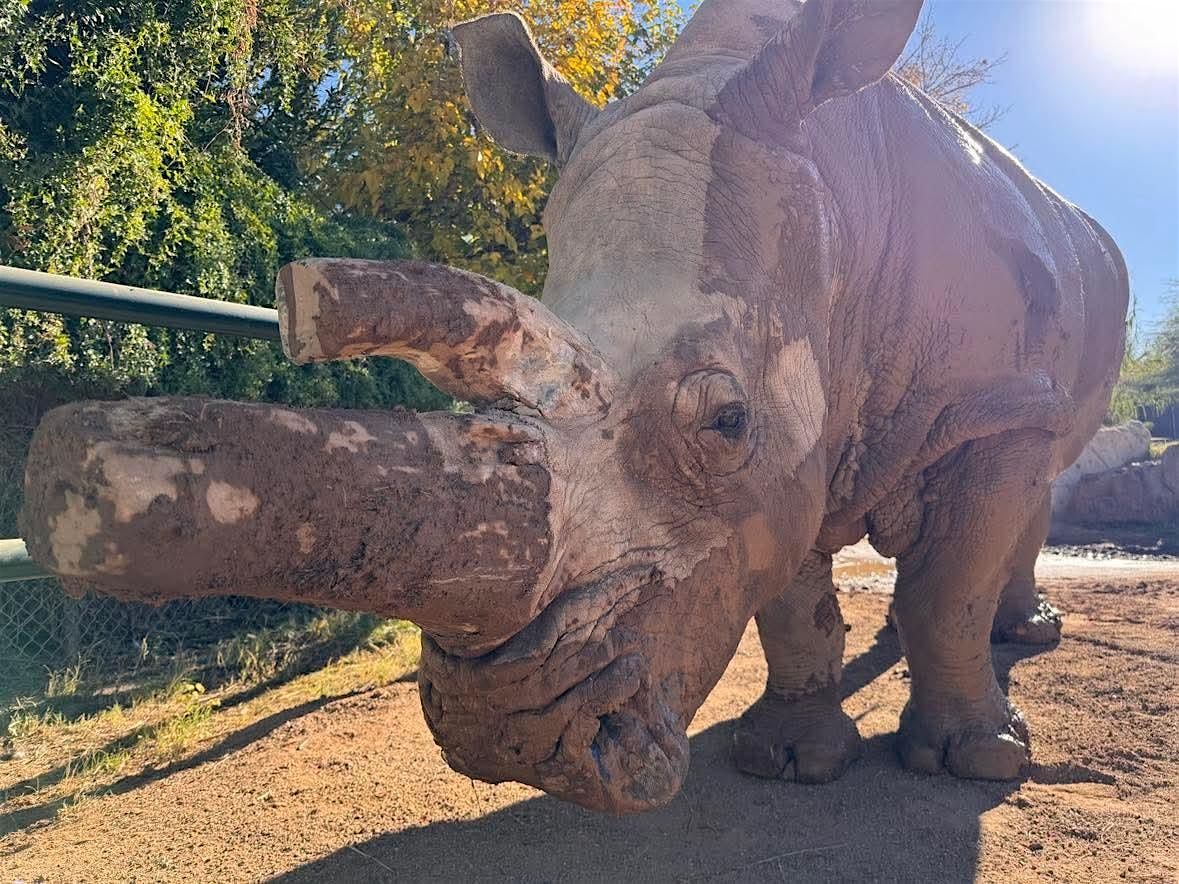 Bowling For Rhinos, 20 September | Event in Tucson | AllEvents