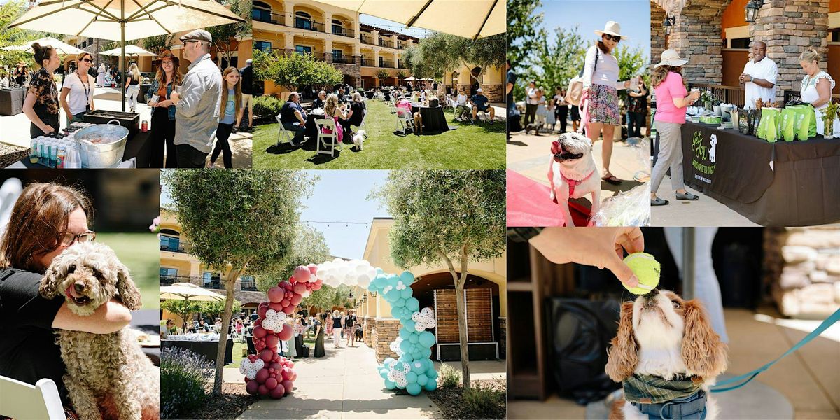 Wag, Wine & Dine - A Culinary Event For Pups And Their People, 24 August | Event in Napa | AllEvents