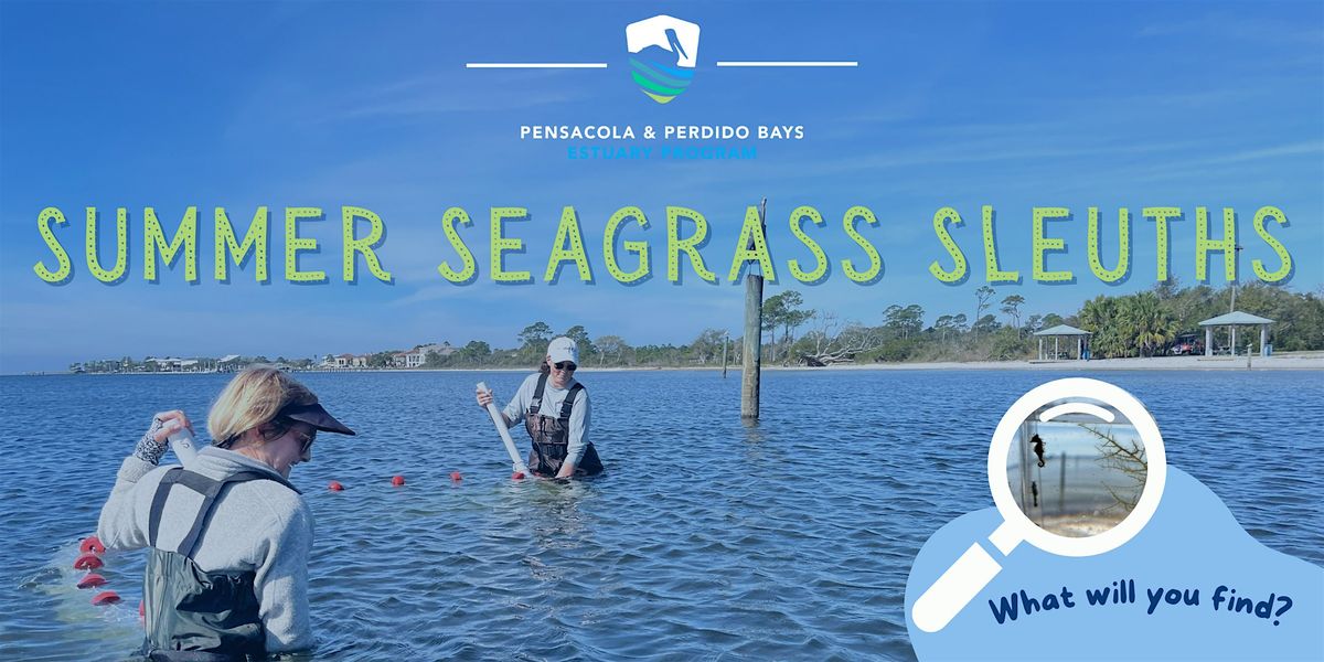 Summer Seagrass Sleuths, 21 June | Event in Pensacola | AllEvents