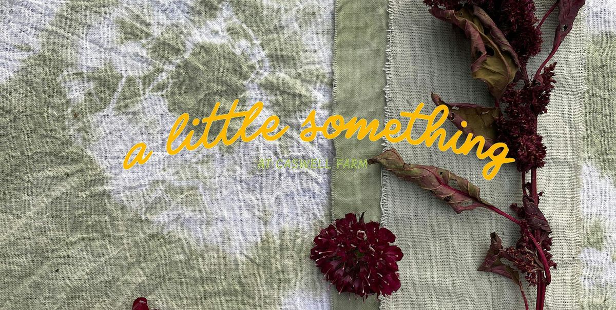 Natural Fabric Dyeing with Kitchen Waste, 31 May | Event in Gray | AllEvents