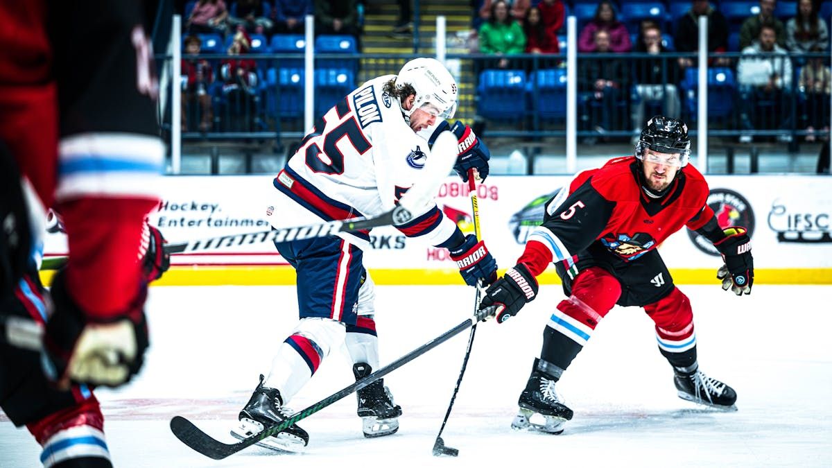 Bloomington Bison at Kalamazoo Wings | Event in Kalamazoo | AllEvents