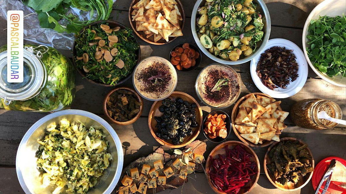 Eco-Friendly Foraging - Plants Walk / Wild Food Tasting & Drinks | Event in Sylmar | AllEvents