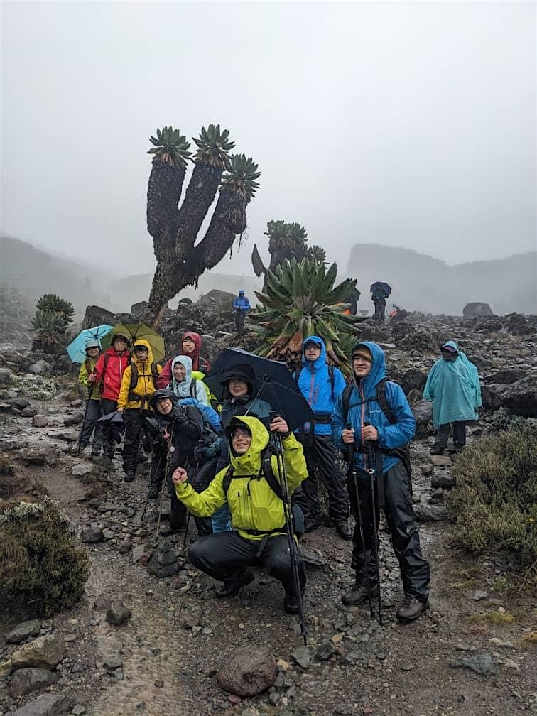 6 Days Rongai Route Kilimanjaro Climb, 26 December | Event in Moshi | AllEvents