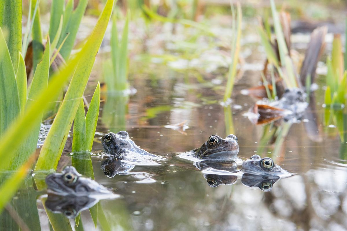Nature Tots at Centre for Wildlife Gardening - Spring 1 (Jan-Feb 2026), 5 January | Event in London | AllEvents
