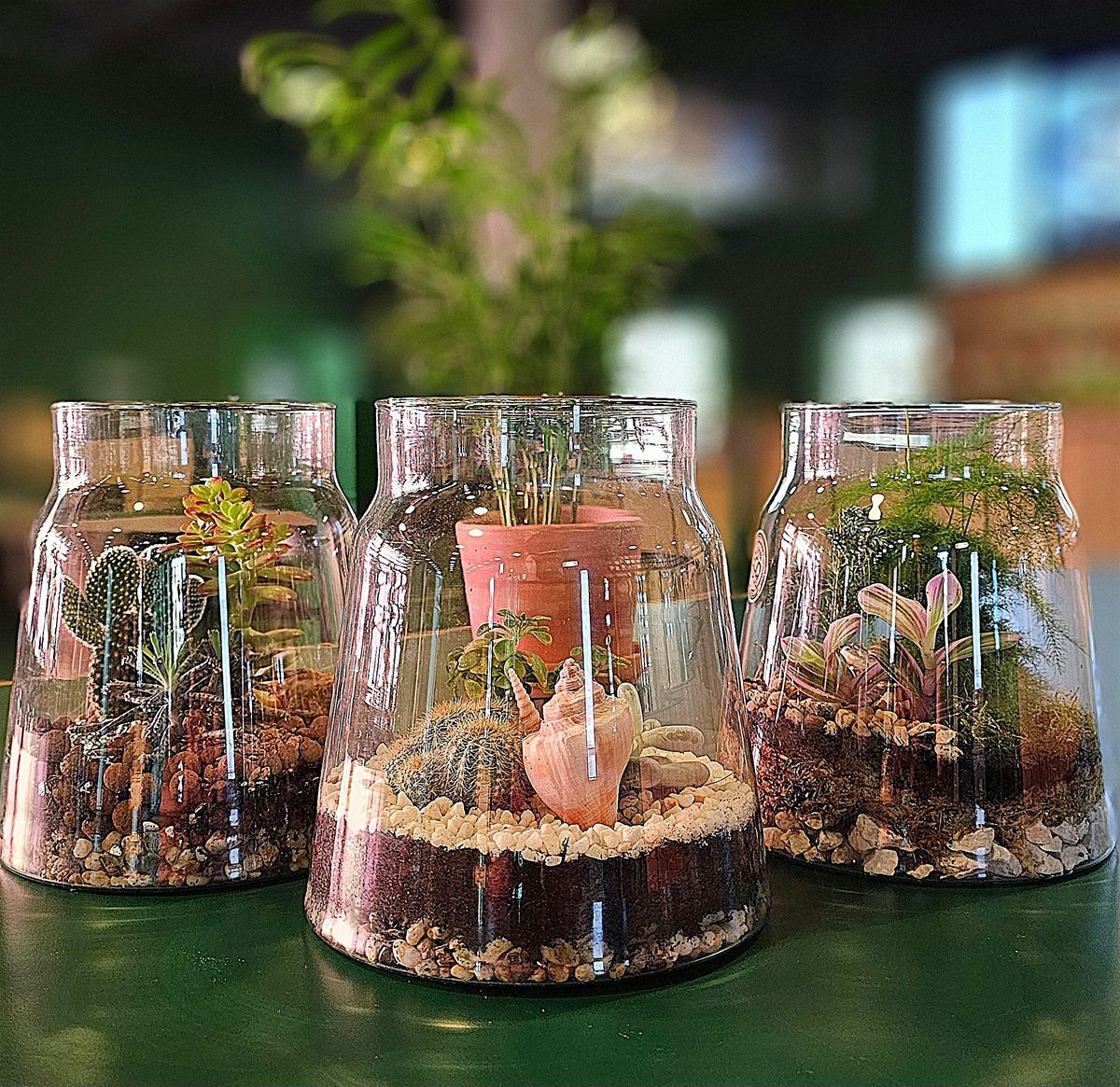 Second Release Terrarium Building Workshops - Corner Corner, 9 December | Event in London | AllEvents