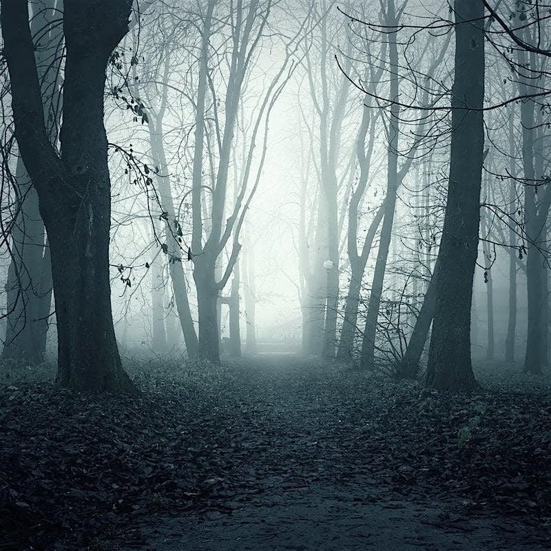 Twilight Terrors: A Battlefield Ghost Walk, 24 September | Event in Mechanicsville | AllEvents