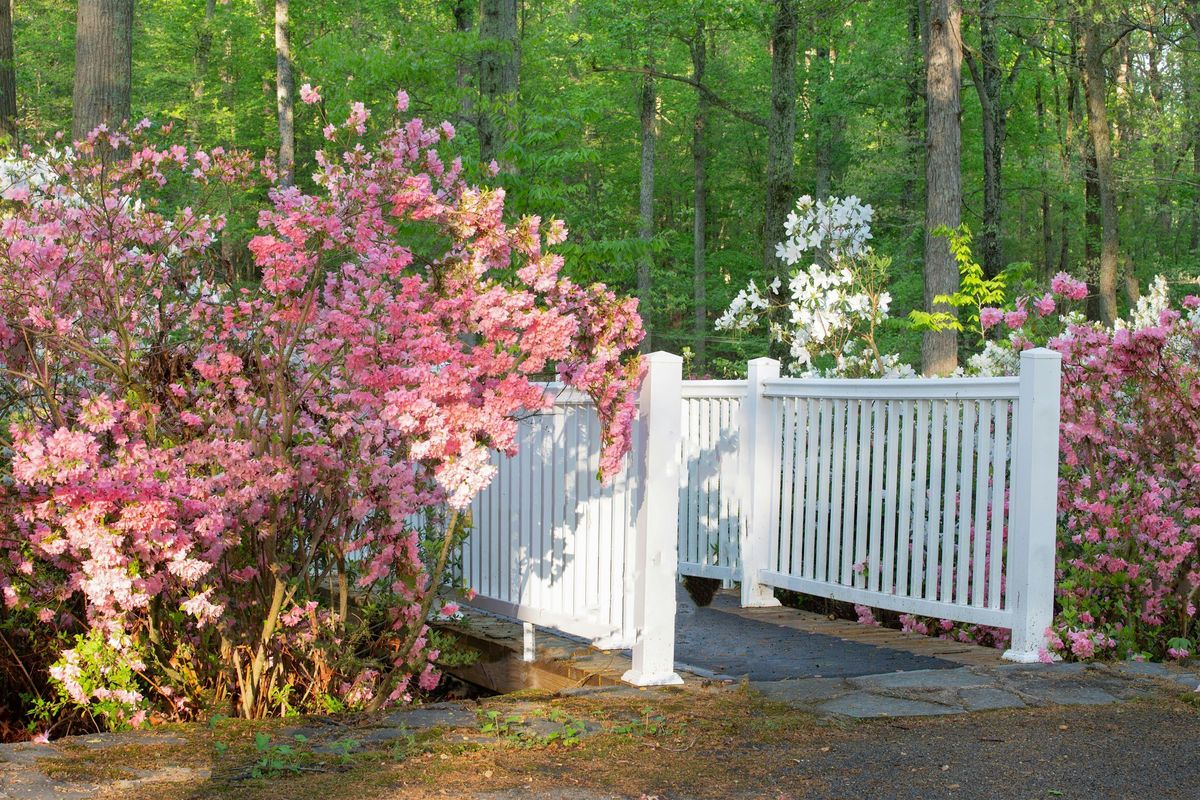Awesome Scavenger Hunt! - Brookeville Bounty Bonanza | Event in Brookeville | AllEvents
