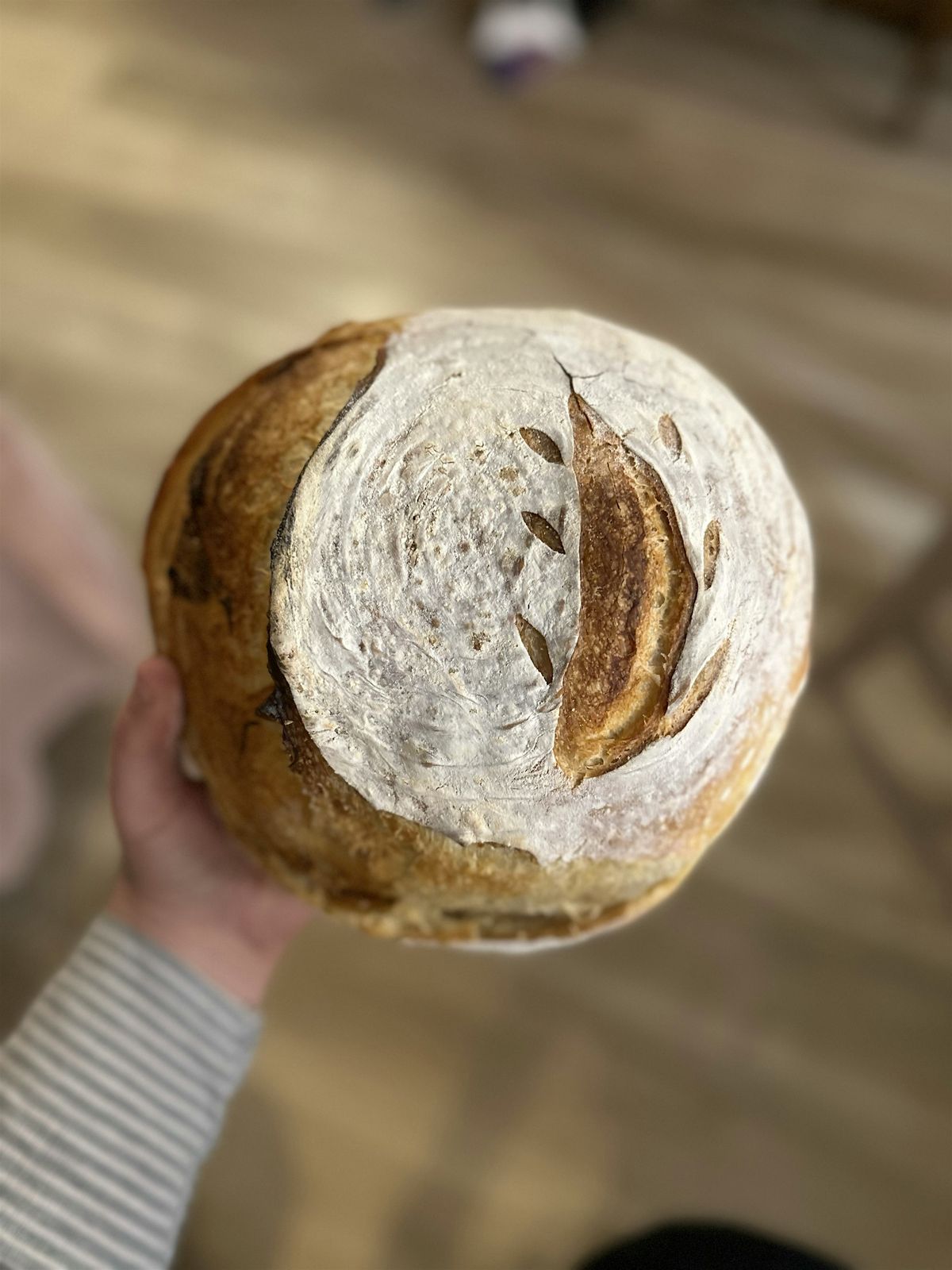 Sourdough Beginner Class, 15 November | Event in Sauk Rapids | AllEvents