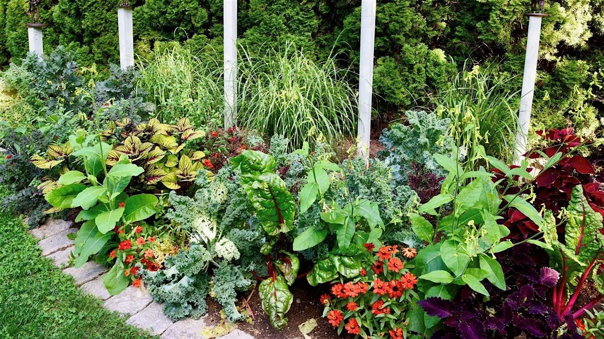 Garden Vignettes: Mini Gardens for Maximum Joy, 29 August | Event in Lee | AllEvents