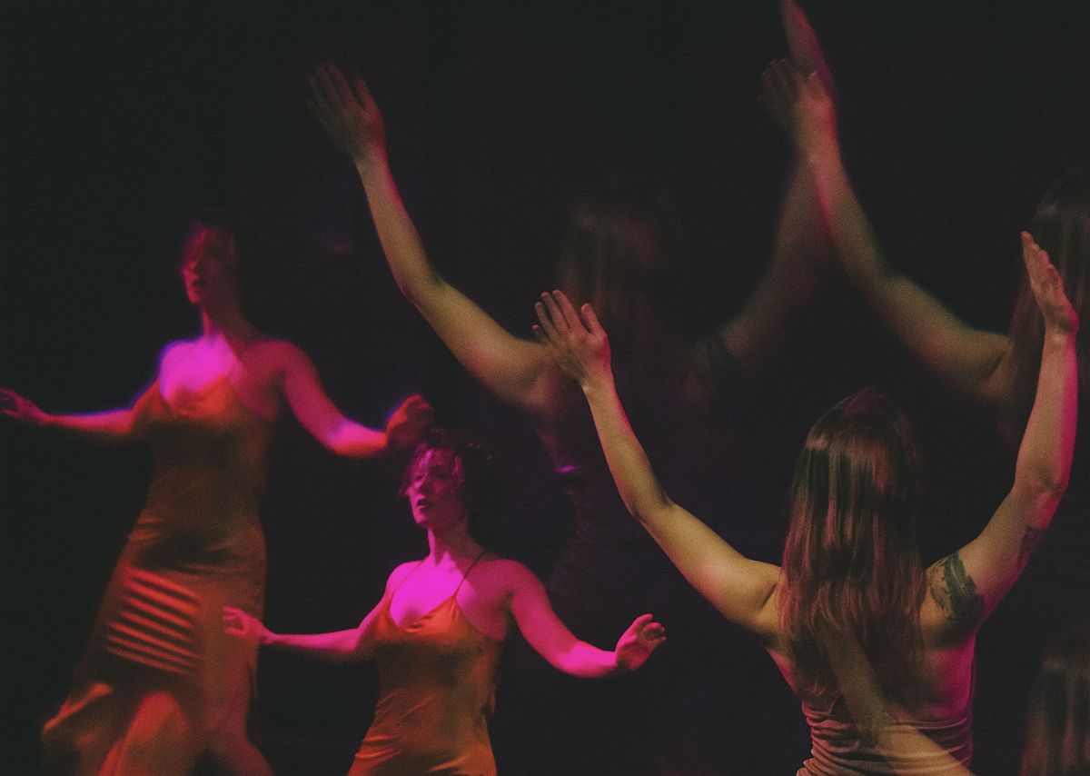 Dandelions, 12 October | Event in Staten Island | AllEvents