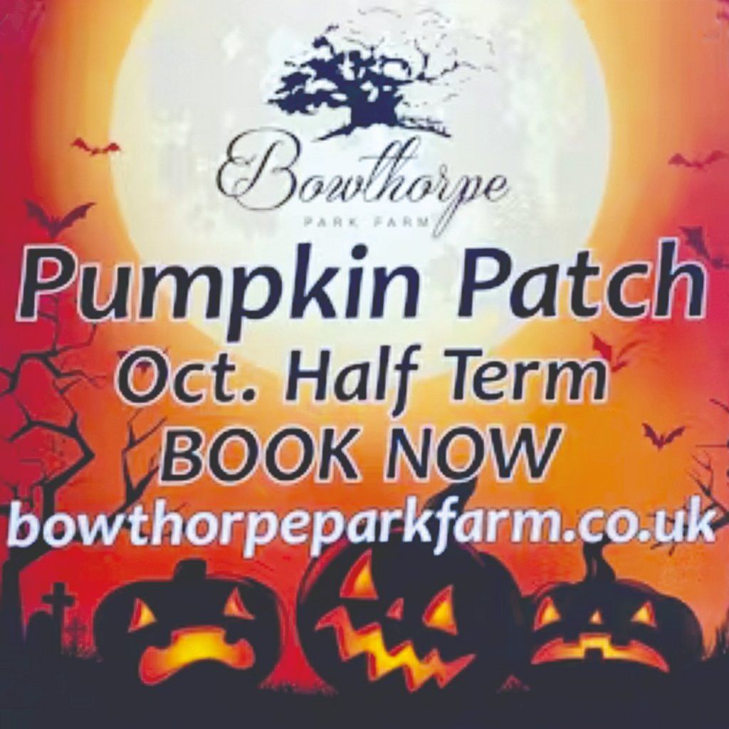 Pumpkin Patch, 18 October | Event in Stamford | AllEvents