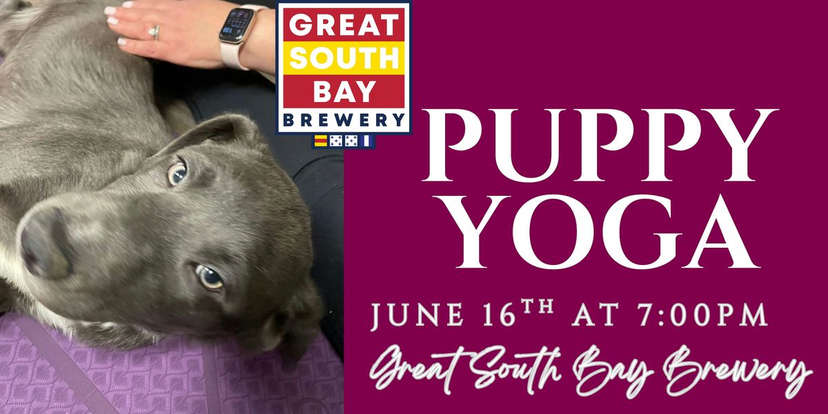 Puppy Yoga at Great South Bay Brewery!, 16 June | Event in Bay Shore | AllEvents