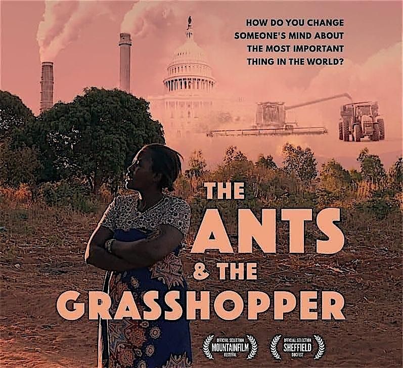 The Ants and the Grasshopper - film screening and discussion | Event in Haslingfield | AllEvents