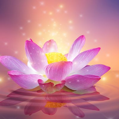 SIEIS - Costa Del Sol & Marbella logo