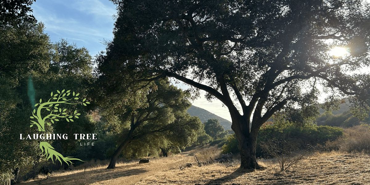 Forest Bathing, 12 July | Event in Spring Valley | AllEvents