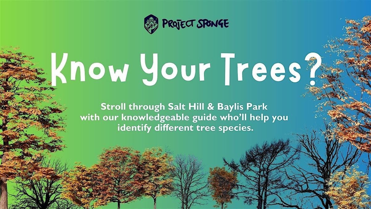 Tree Identification Walk, 11 October | Event in Slough | AllEvents