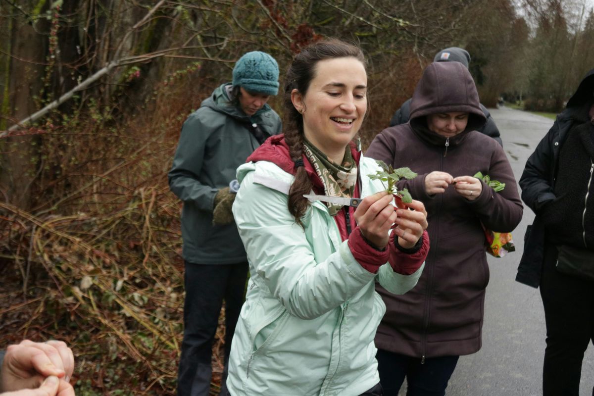 Wild Foods and Medicines Plant Walk, 4 May | Event in Cle Elum | AllEvents