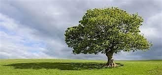 Understanding Mental Health: An Islamic Perspective  - Batley 16.10.25, 16 October | Event in Batley | AllEvents