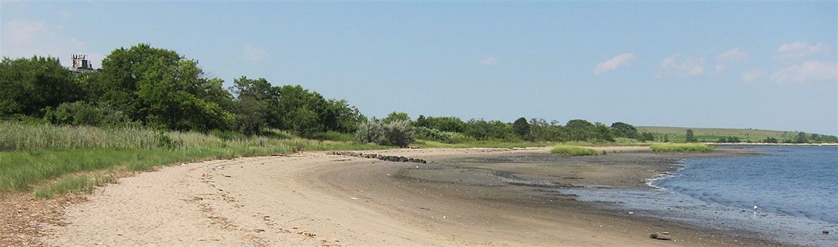 Canarsie Park Clean Up, 31 May | Event in Brooklyn | AllEvents