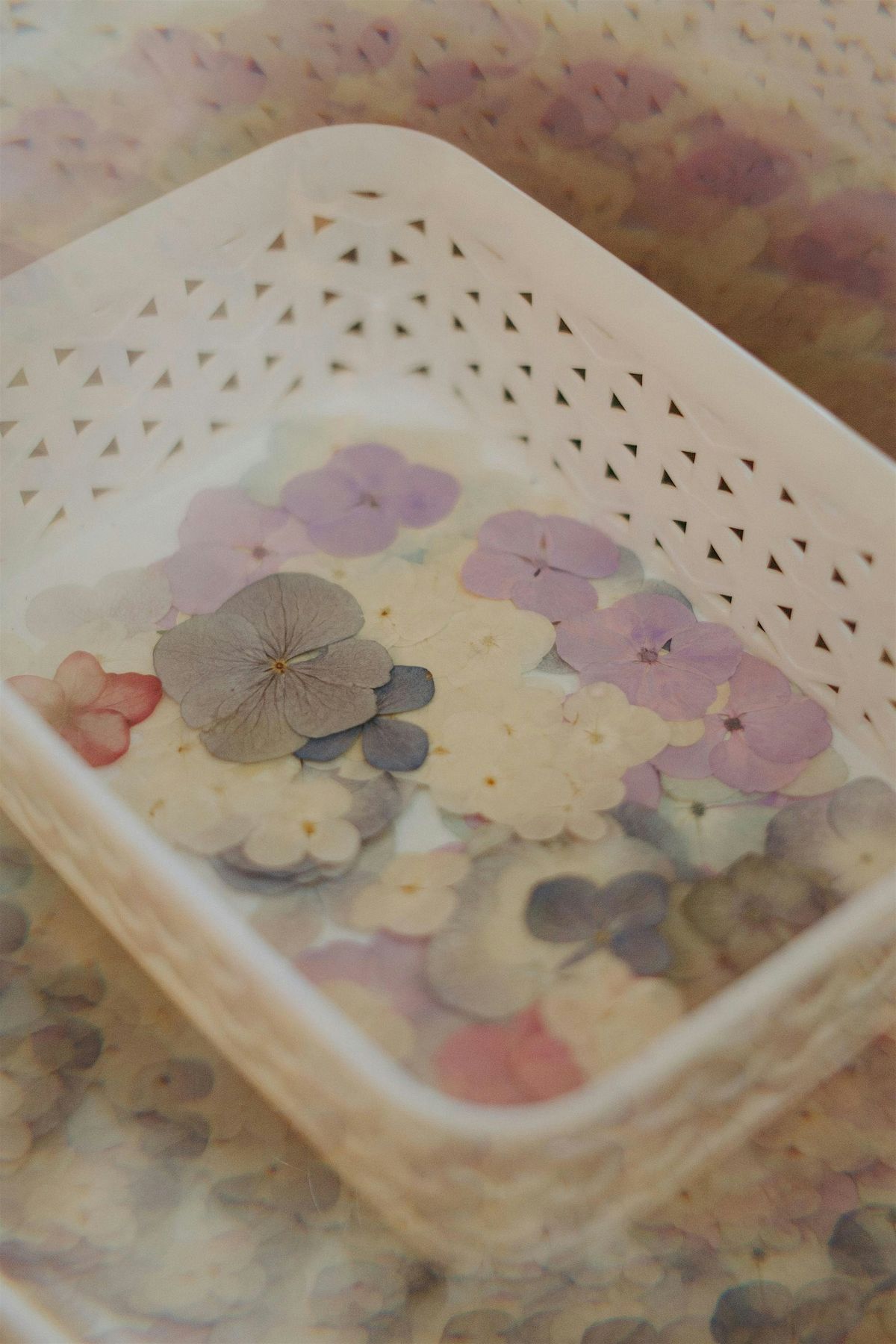Pressed Floral Letter Workshop @ Local Ties Brewing Co., 14 August | Event in Carrollton | AllEvents
