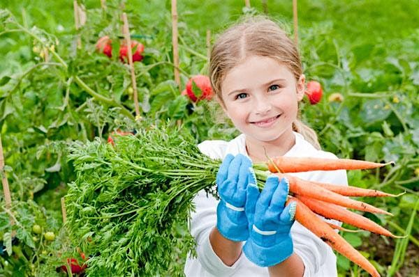 Junior Farmer Summer Camp | Event in Westport | AllEvents