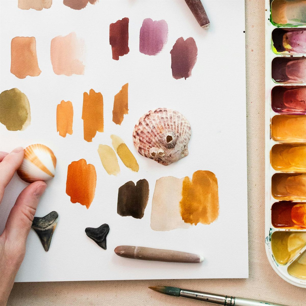 Workshop | Shells and Shark Teeth in Watercolor, 23 August | Event in Delray Beach | AllEvents