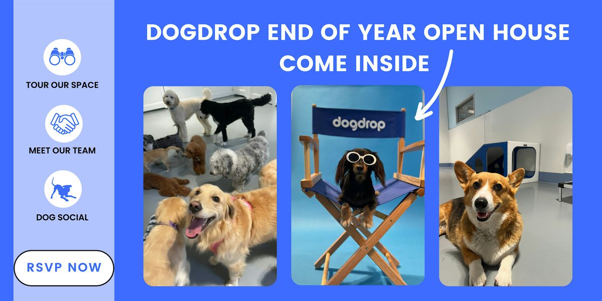 End of the Year Open House at Dogdrop - Flagler Village, 13 December | Event in Fort Lauderdale | AllEvents