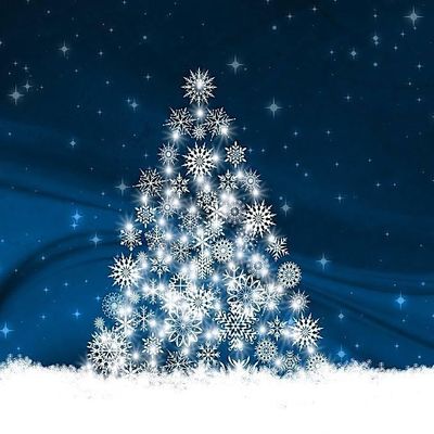 Midnight Sun Special Events Committee logo