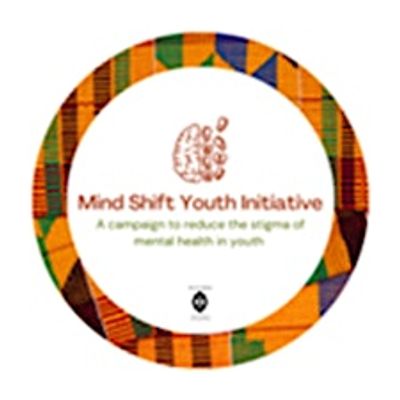 The Village Project, Inc logo