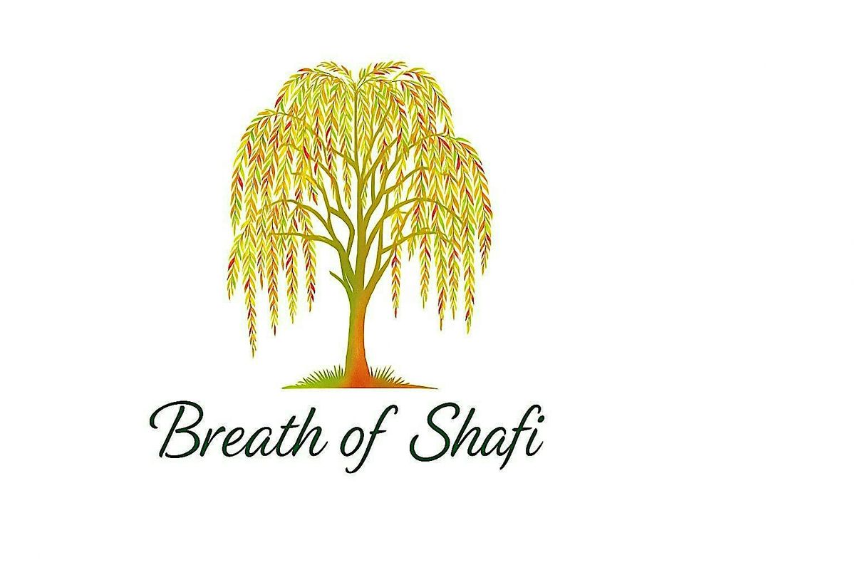 Guided Psychedelic Breath® Experience with Breath of Shafi | Event in Chicago | AllEvents
