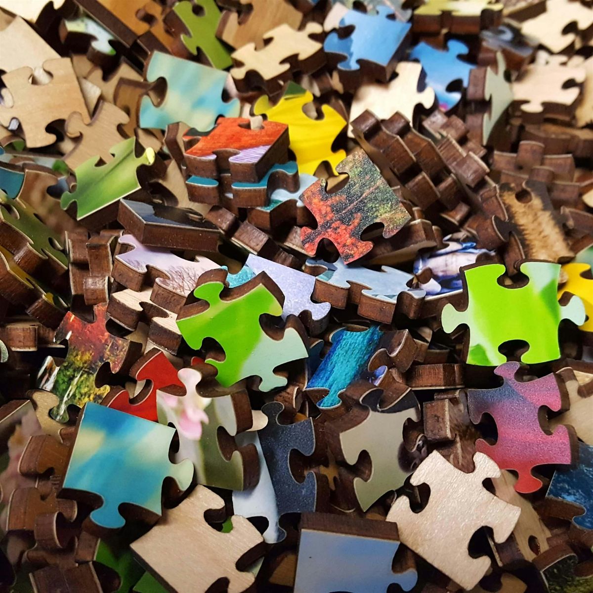 Forte Puzzle Tournament, 6 June | Event in Brookings | AllEvents